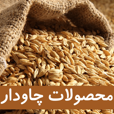 چاودار