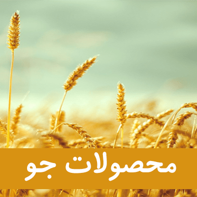 محصولات جو