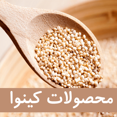 کینوا