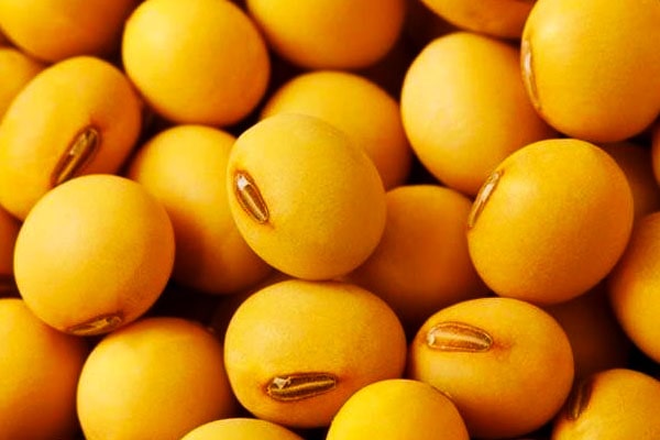 سویا